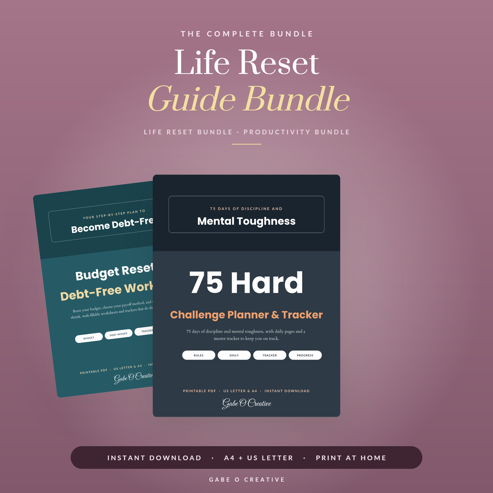 Life Reset Guide Bundle, 3 Printable Productivity and Self Improvement Workbooks in 1, ADHD Budget and 75 Hard Challenge, PDF