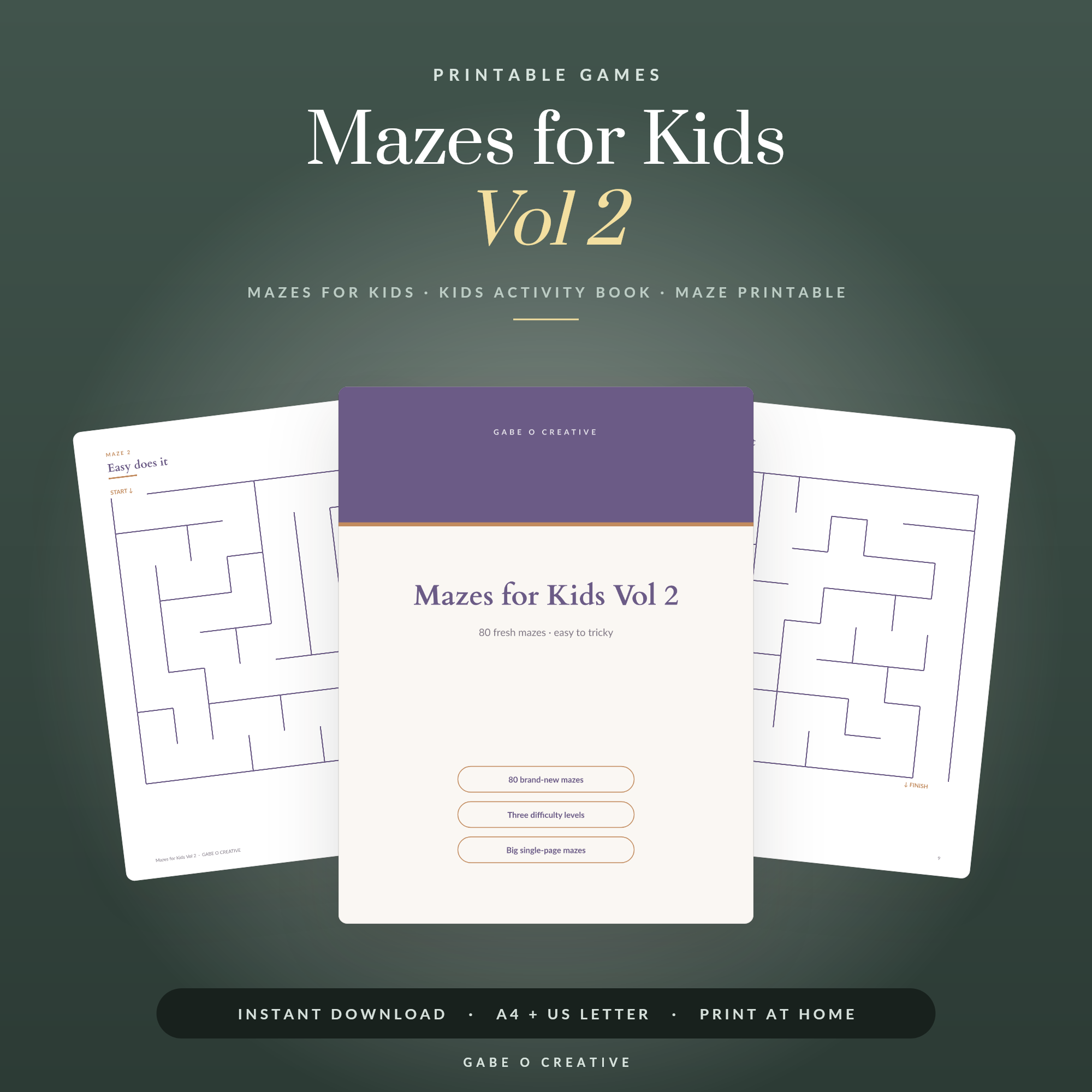 Mazes for Kids Vol 2
